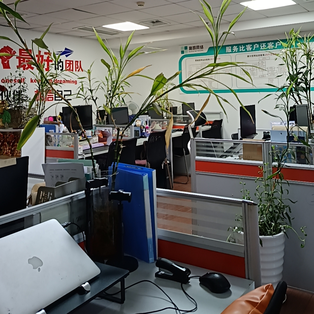 镇海工业品网络营销 / 镇海工业品网络营销这行当，让我深陷其中