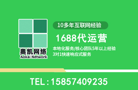 镇海宁波奥凯1688代运营服务体系深度测评